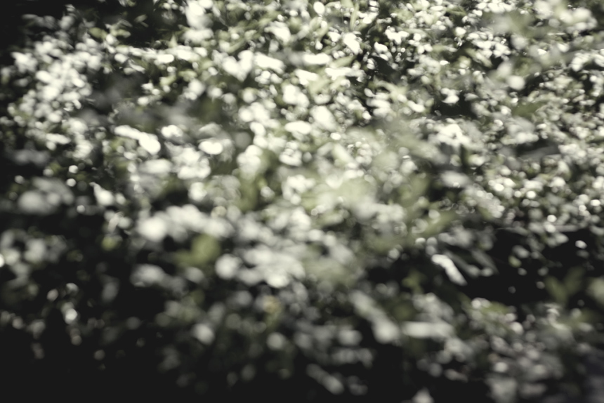 portraits: balam acab [+ “oh, why” mp3]